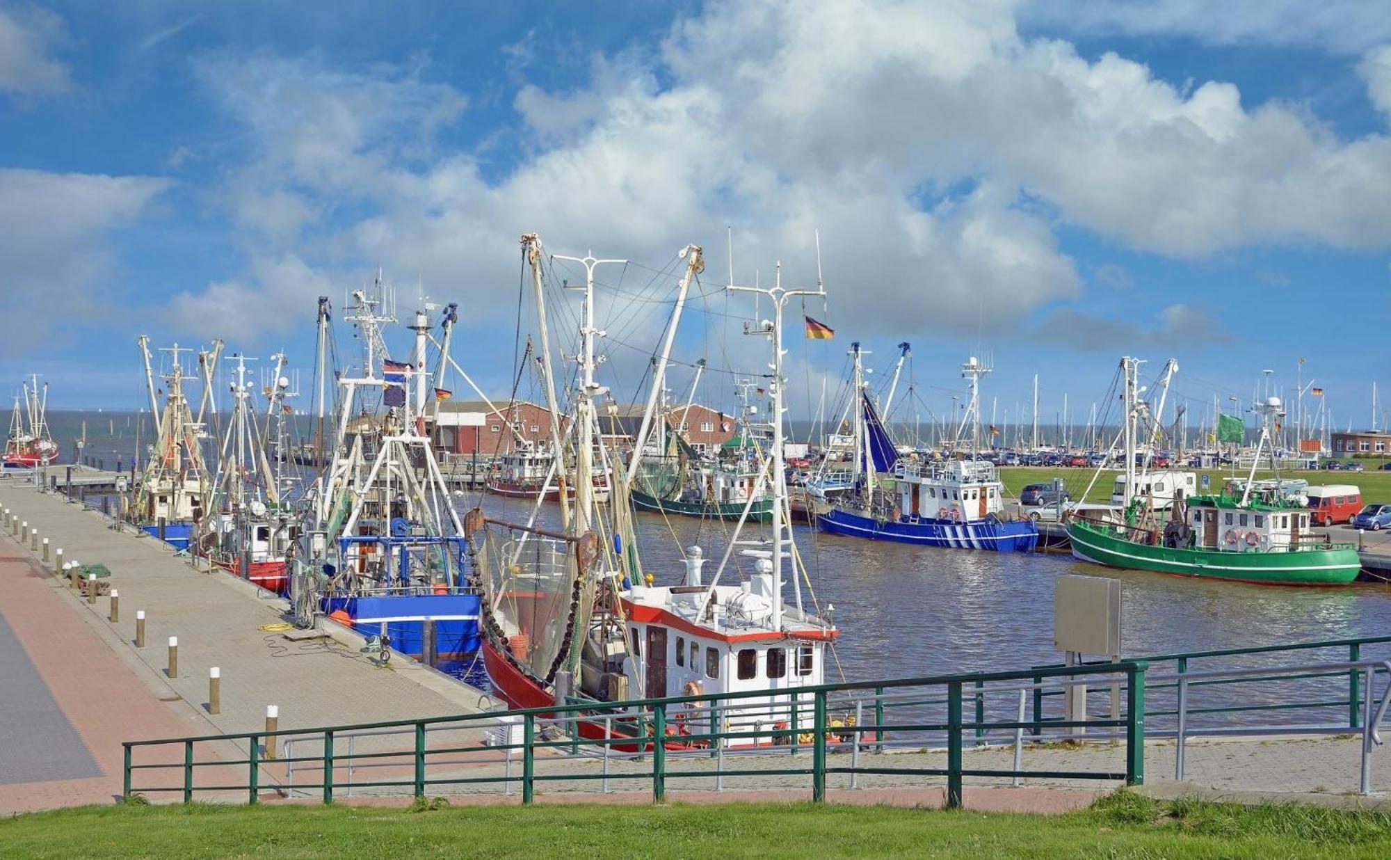 Ferienhaus-Hornhecht Dornumersiel Esterno foto